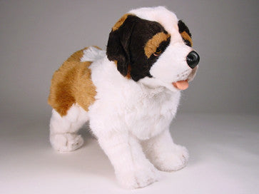 "Bernie" Saint Bernard