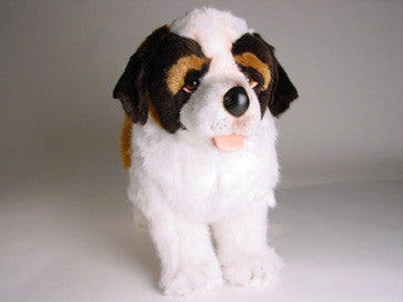 "Bernie" Saint Bernard