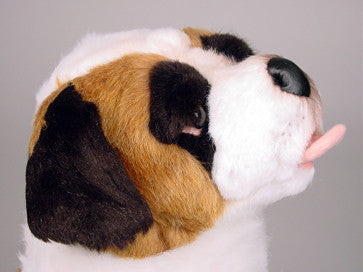 "Bamse" Saint Bernard