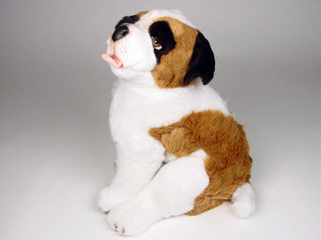 "Bamse" Saint Bernard