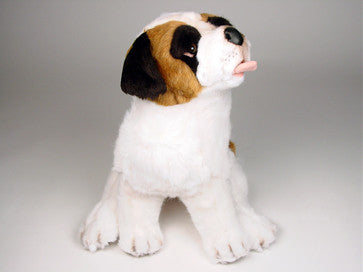 "Bamse" Saint Bernard