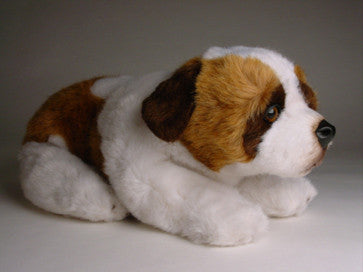 "Klondike" Saint Bernard