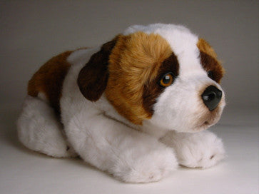 "Klondike" Saint Bernard