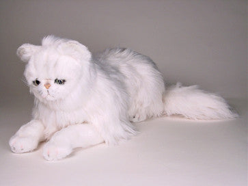 "Mr. Tinkles" Chinchilla Persian