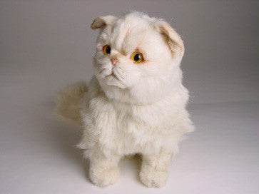 "Chauncey" Chinchilla Persian
