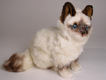 "Orloff" Birman