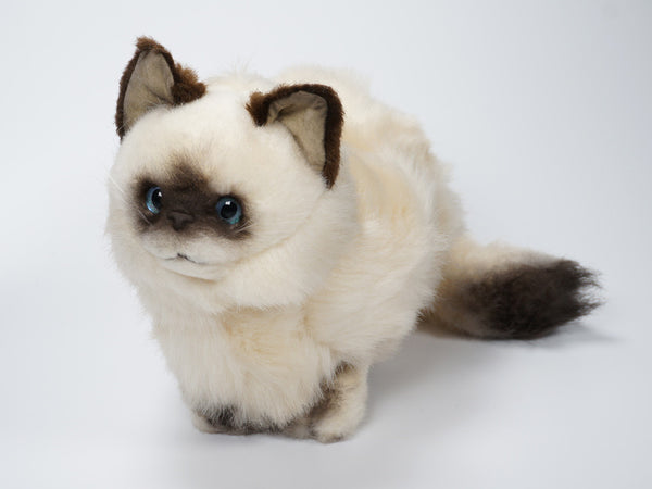 "Puff" Birman