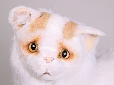 "Yil" Turkish Van