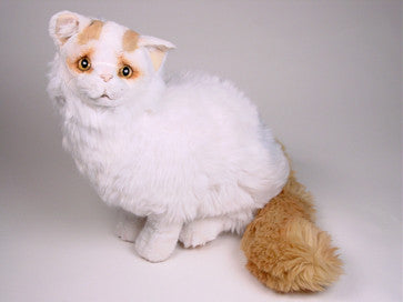 "Yil" Turkish Van