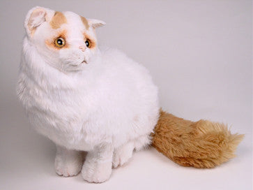 "Yil" Turkish Van