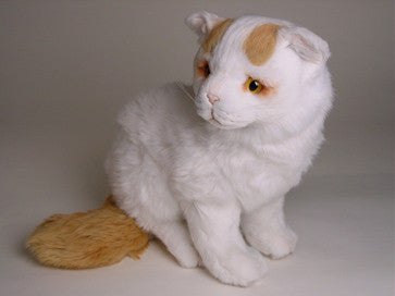 "Lushington" Turkish Van