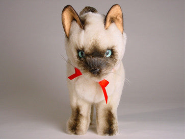 "Ling Ling" Siamese