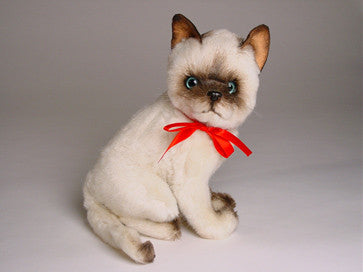 "Pyewacket" Siamese