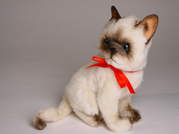 "Pyewacket" Siamese