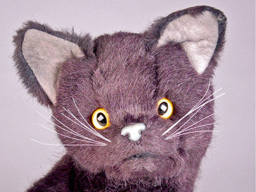"Cub" Certosino Cat