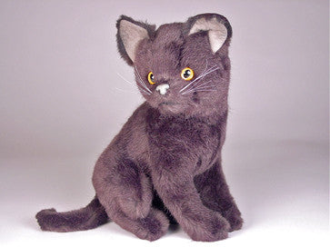 "Cub" Certosino Cat