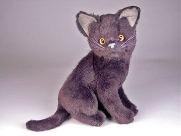 "Cub" Certosino Cat