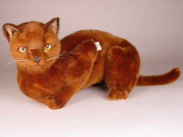 "Tarawood" Burmese Cat