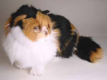 "Casper" Calico