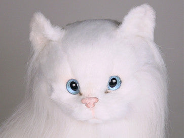 "Duchess" Angora Cat