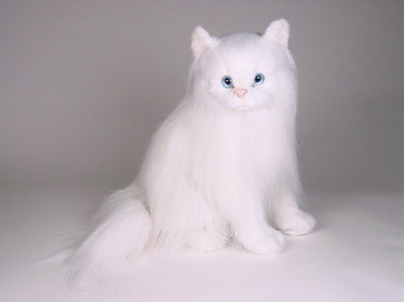 "Duchess" Angora Cat