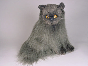 "Fabio" Angora Cat