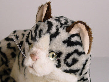 "Silverado" Spotted Cat