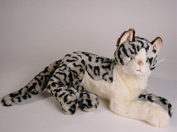 "Silverado" Spotted Cat