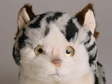 "Pebbles" Spotted Cat