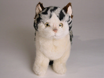 "Pebbles" Spotted Cat