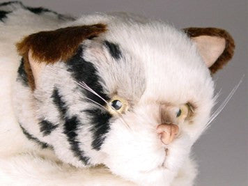 "Cammi" Spotted Tabby Cat