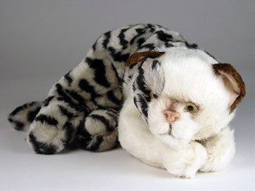 "Cammi" Spotted Tabby Cat