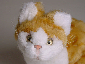 "Raggles" Red & White Tabby Cat