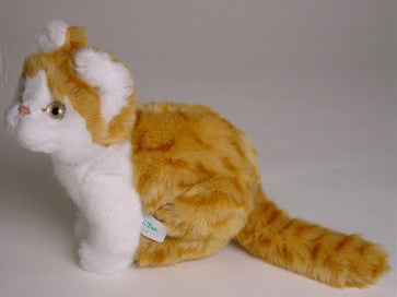 "Raggles" Red & White Tabby Cat