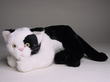 "Nin" Black & White Cat