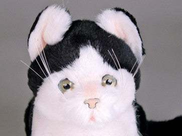"Humphrey" Black & White Cat