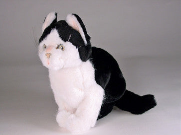 "Humphrey" Black & White Cat