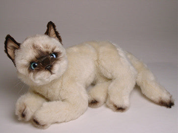 "Mrs. Poodles" Siamese