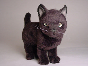 "Pushka" Russian Blue