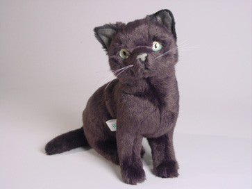 "Sneaky Pie" Russian Blue