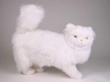 "Coconut" White Persian