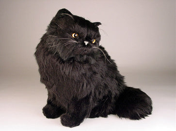 "Blackie" Black Persian