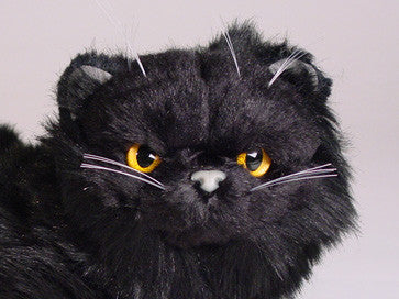 "Peter" Black Persian