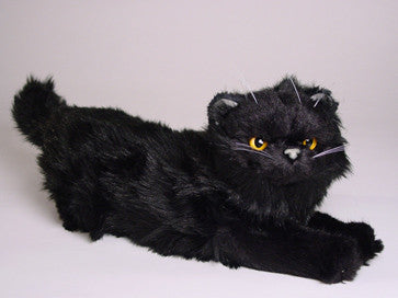 "Peter" Black Persian
