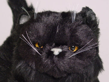"Orion" Black Persian