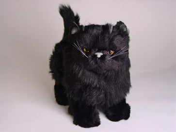 "Orion" Black Persian