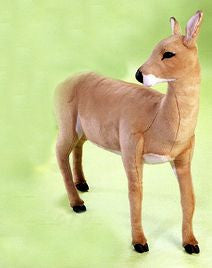 "Lillith" Deer Doe