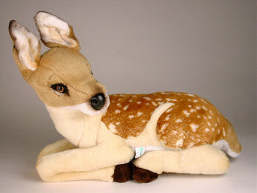 "Flag" Fawn