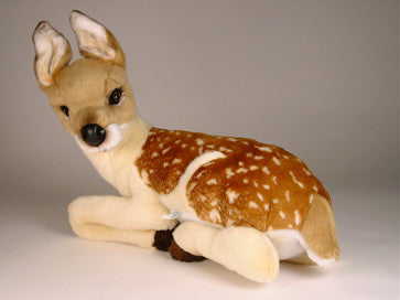 "Flag" Fawn