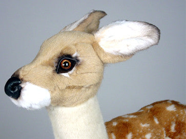 "Faline" Fawn